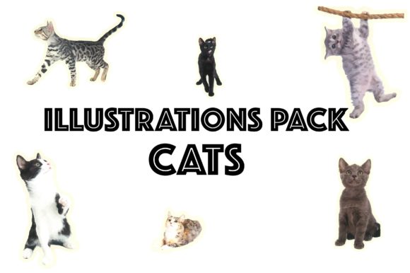 Illustration Pack Cats: Graphics & Illustrations