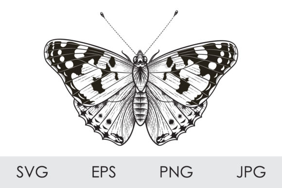 Monochrome Painted Lady Butterfly Graphics Review