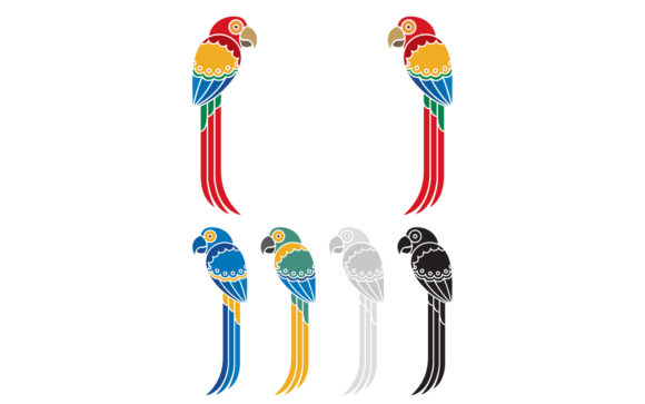 Parrots Graphics: Vibrant Illustrations for Brands